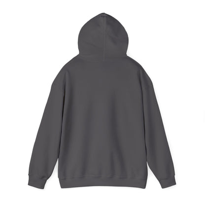 Unisex Heavy Blend™ Hoodie Sweatshirt